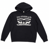 Levi's Black Graphic Hoodie