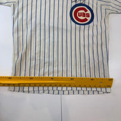 Vintage Chicago Cubs Pinstripe Jersey Adult Large Signed Rawlings
