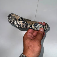 Western Rhinestone Zebra Print Hair-On-Hide Belt Studded Buckle One Size