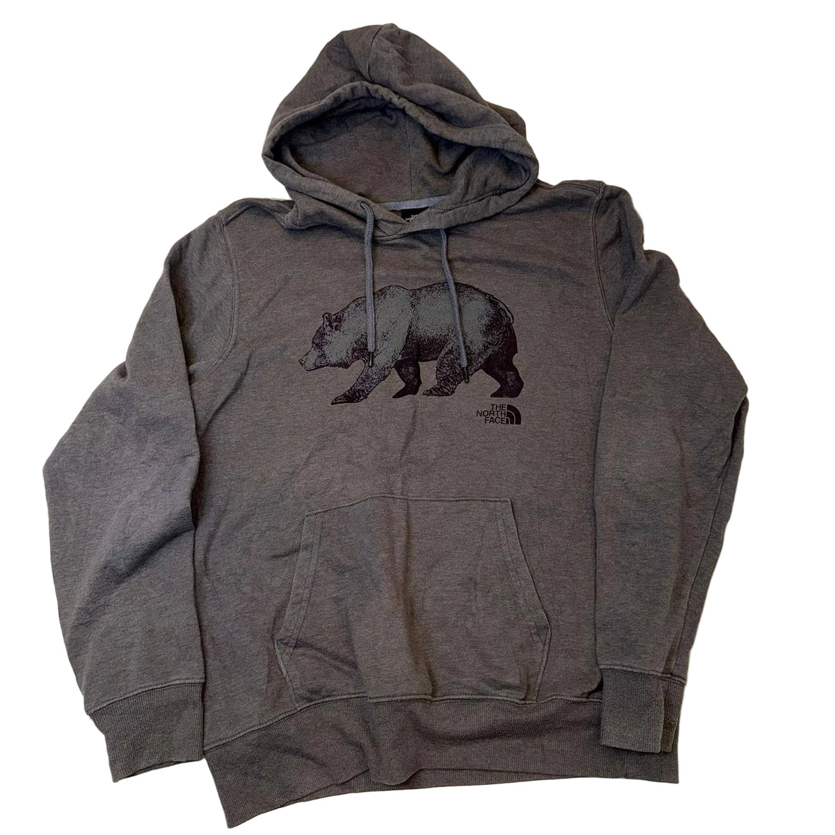 The North Face Bear Graphic Hoodie