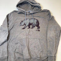 The North Face Bear Graphic Hoodie