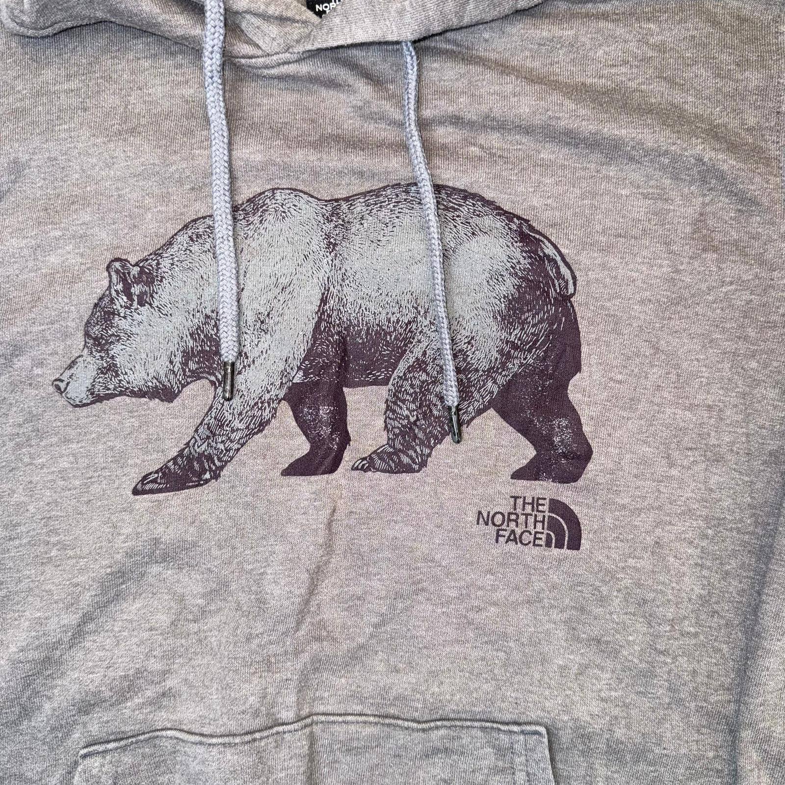 The North Face Bear Graphic Hoodie