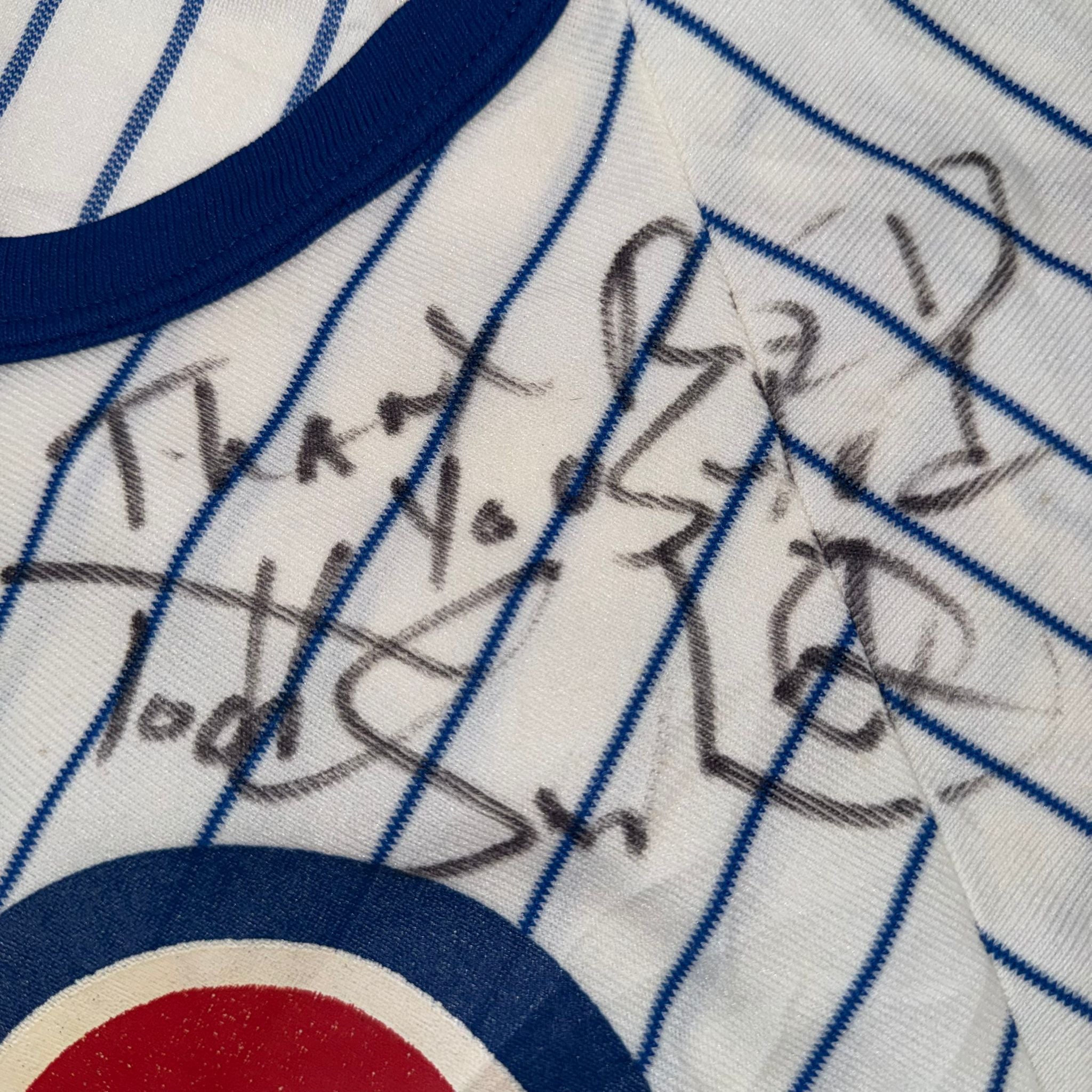 Vintage Chicago Cubs Pinstripe Jersey Adult Large Signed Rawlings